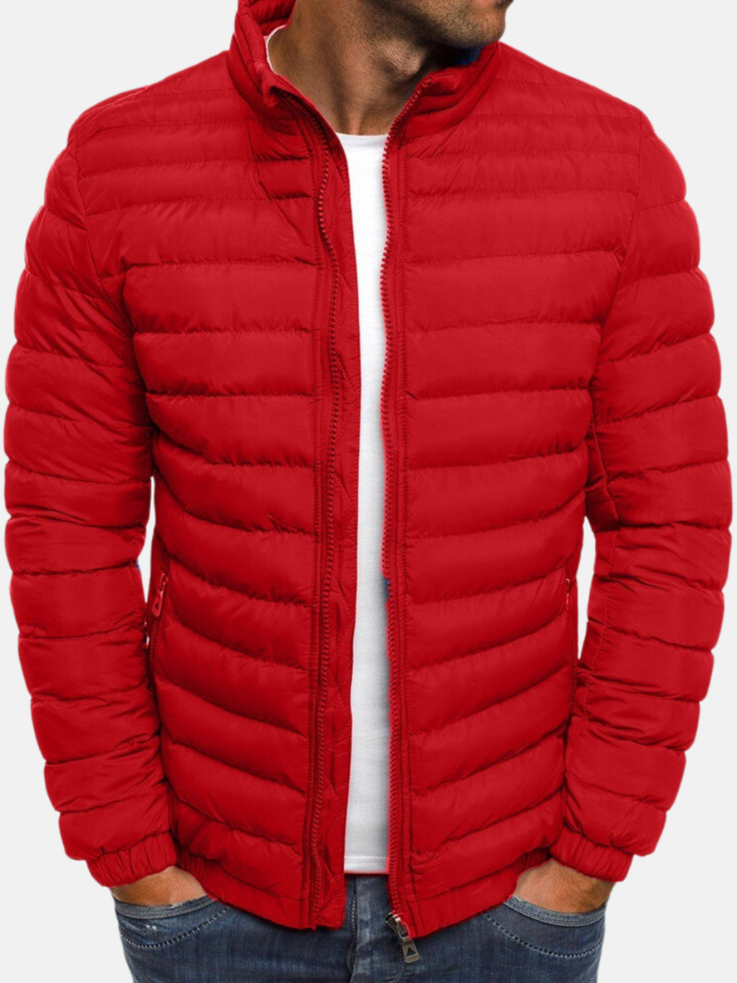 Pufferjacke für Herren, Steppdesign | Winter