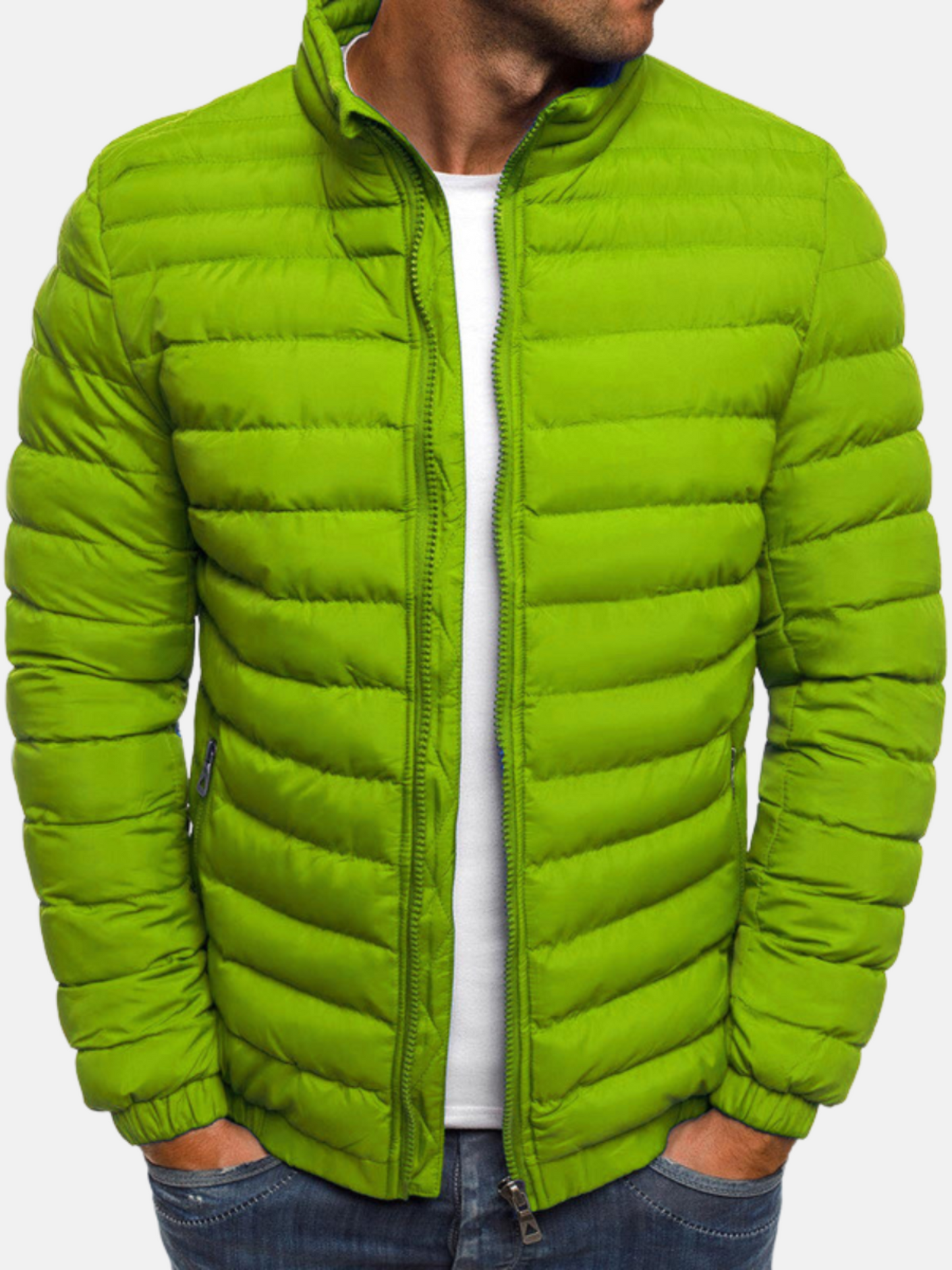 Pufferjacke für Herren, Steppdesign | Winter